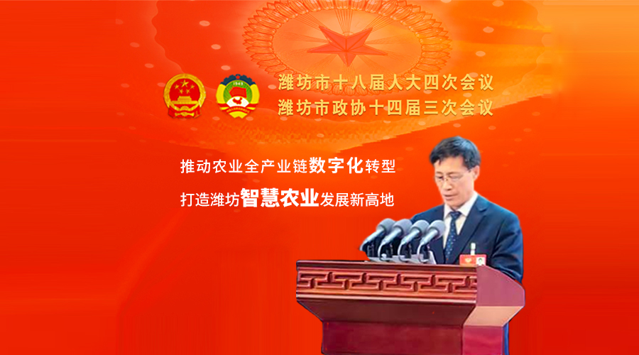 創新實干走在前 建言資政促發展 創新實干走在前 建言資政促發展