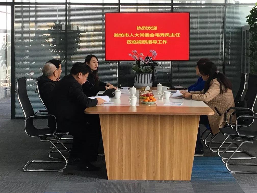 濰坊市人大常委會副主任毛秀鳳一行蒞臨環球軟件濰坊分公司調研指導工作