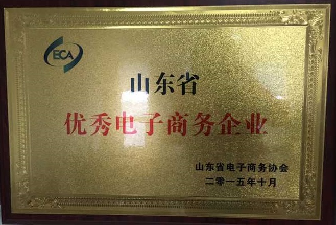 環球軟件獲山東省優秀電商企業
