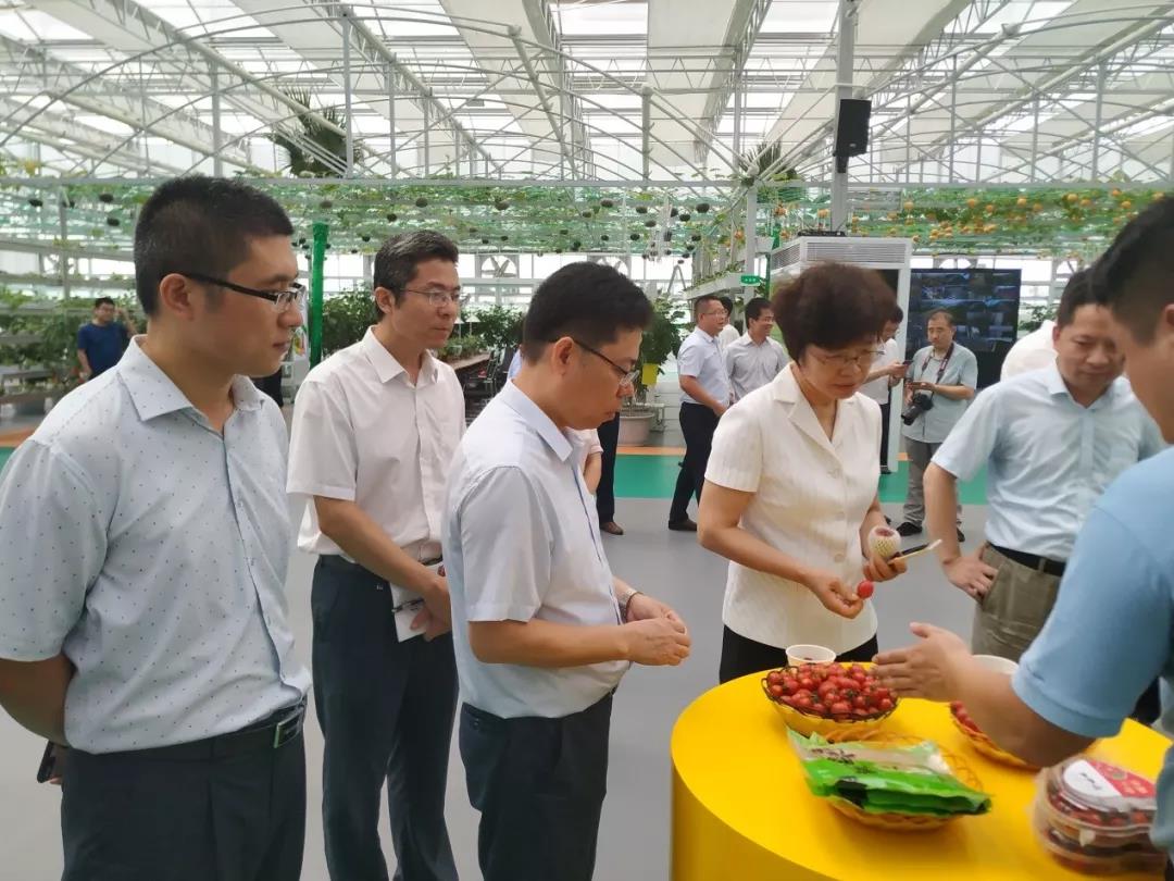 山東省大數據局黨組書記、局長馬越男視察環球軟件建設的智慧農業園區