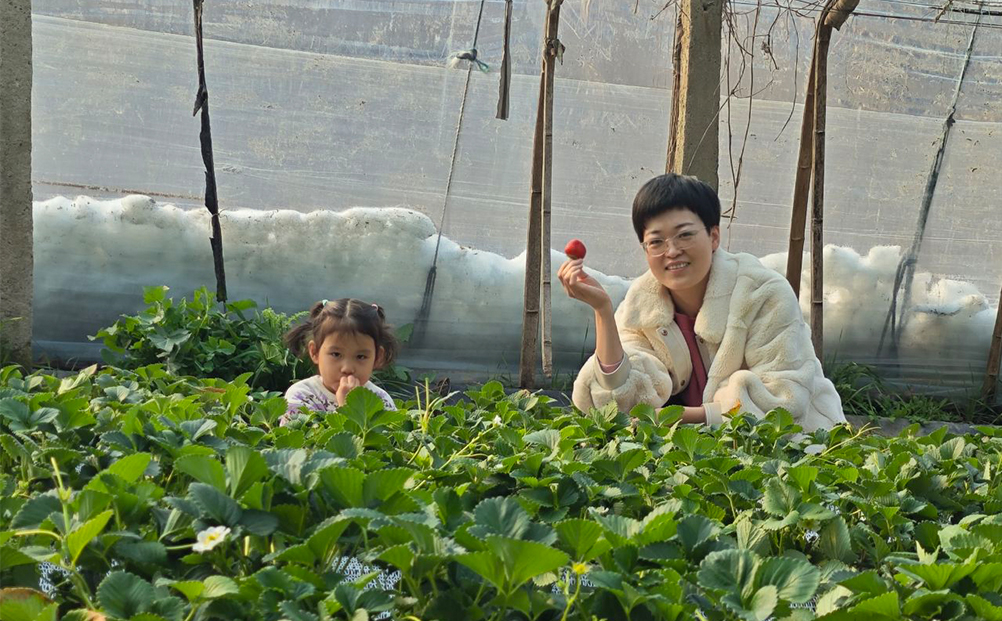 環球軟件以“莓”為媒 致敬“她”力量